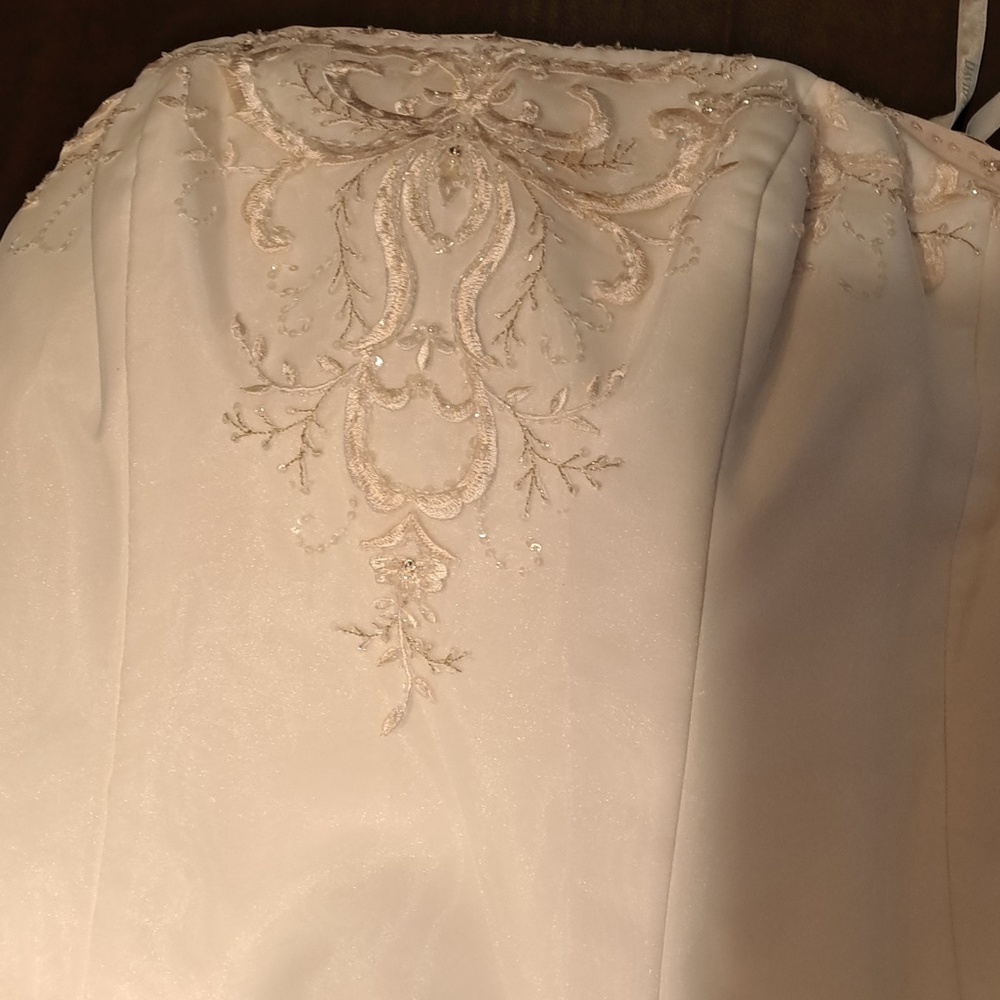 Michaelangelo Bridal Gown